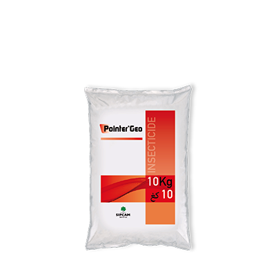 Pointer Geo